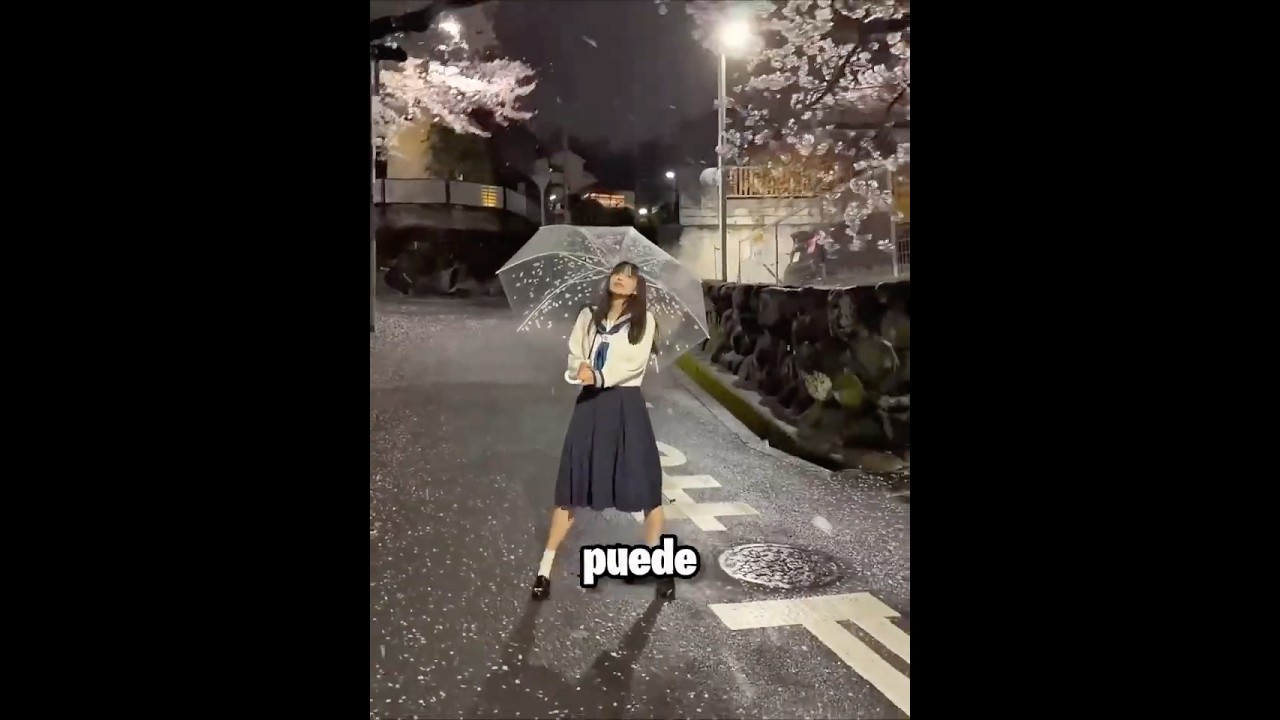La Regla De Japón Que NUNCA Debes Romper 🤯