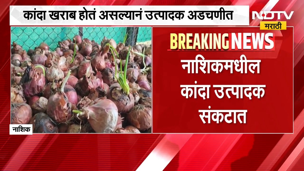 Nashik | Onion Farming | बदलत्या वातावरणाचा कांदा उत्पादकांना फटका | NDTV Marathi