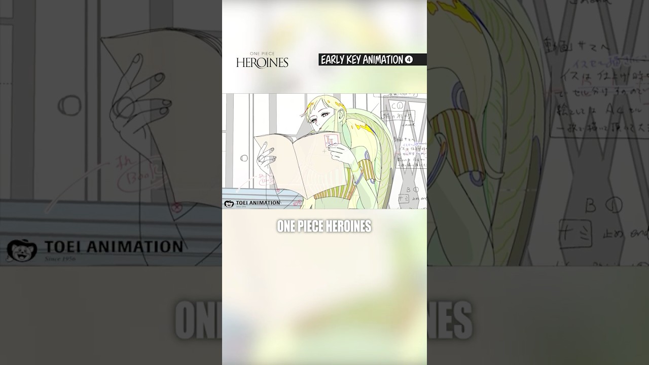 ONE PIECE HEROINES Early Key Animation❹ | ONE PIECE
