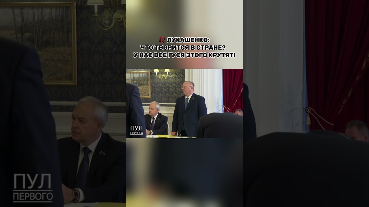 Лукашенко: что творится в стране? У нас все гуся этого крутят!