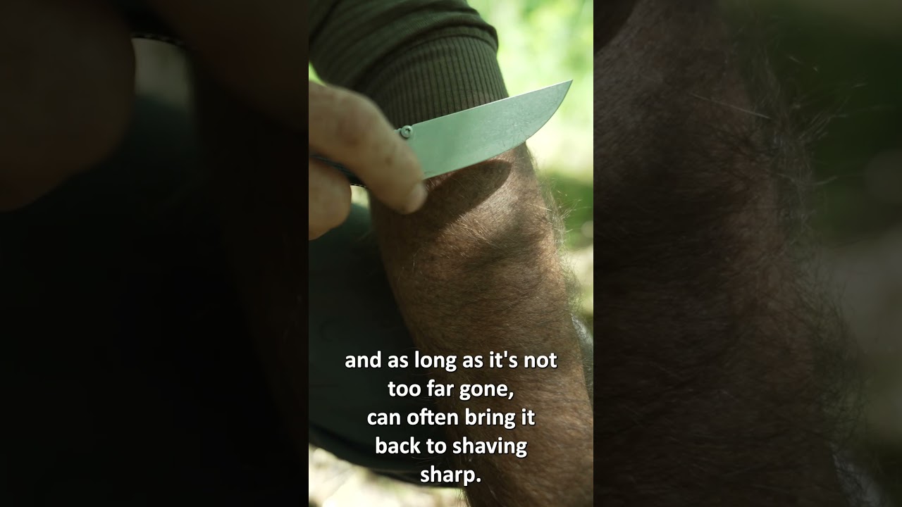 This trick sharpens any knife #lifehacks #outdoors #skills