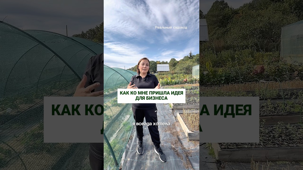 Как ко мне пришла идея бизнеса #питомникрастений