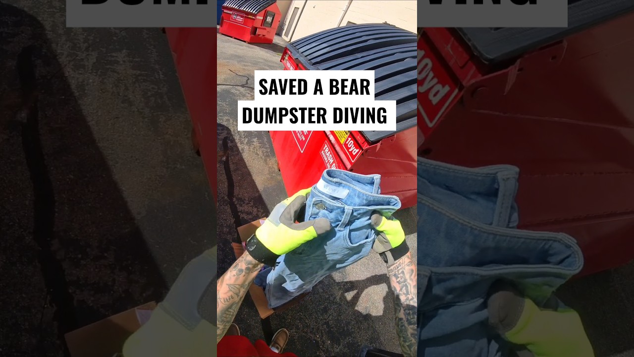 I saved a bear and designer jeans Dumpster diving! #dumpsterdiving