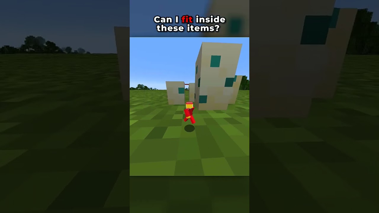 Can I fit inside these items...? 🤔 #minecraft