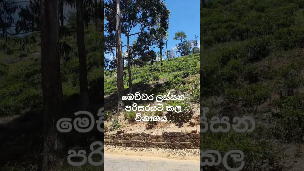 මෙච්චර ලස්සන පරිසරයකට කල විනාශය .