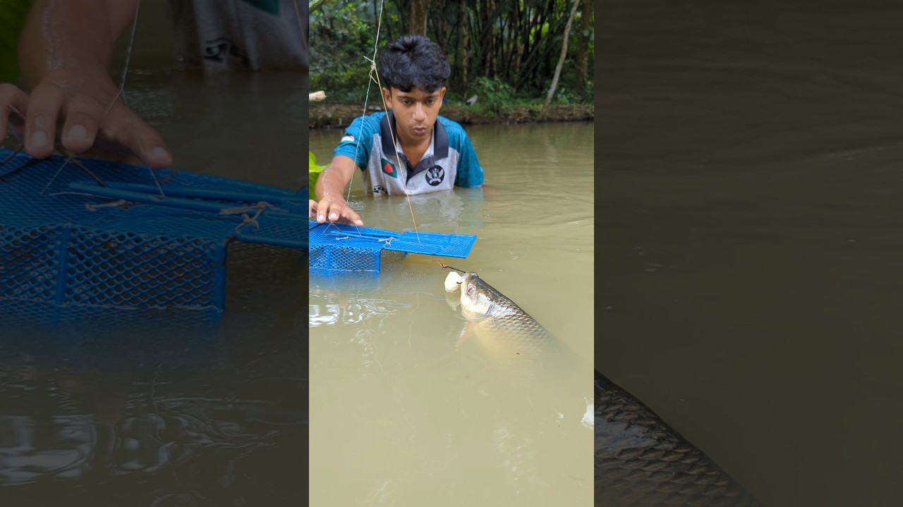 The Unique Trapping Fishing System, with rat cage trap#fish_trap#shorts