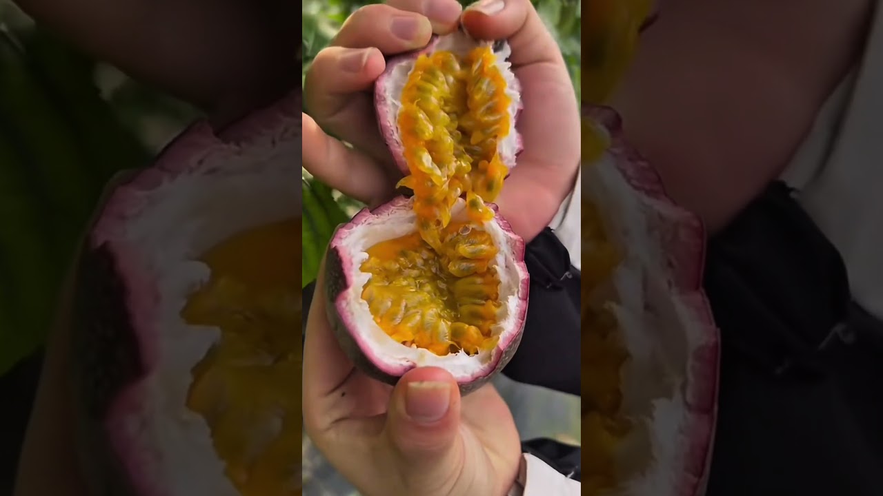 Kandungan Dalam Buah Yang Perlu Kamu Tahu #fruit #gardening #farming #tipssehat