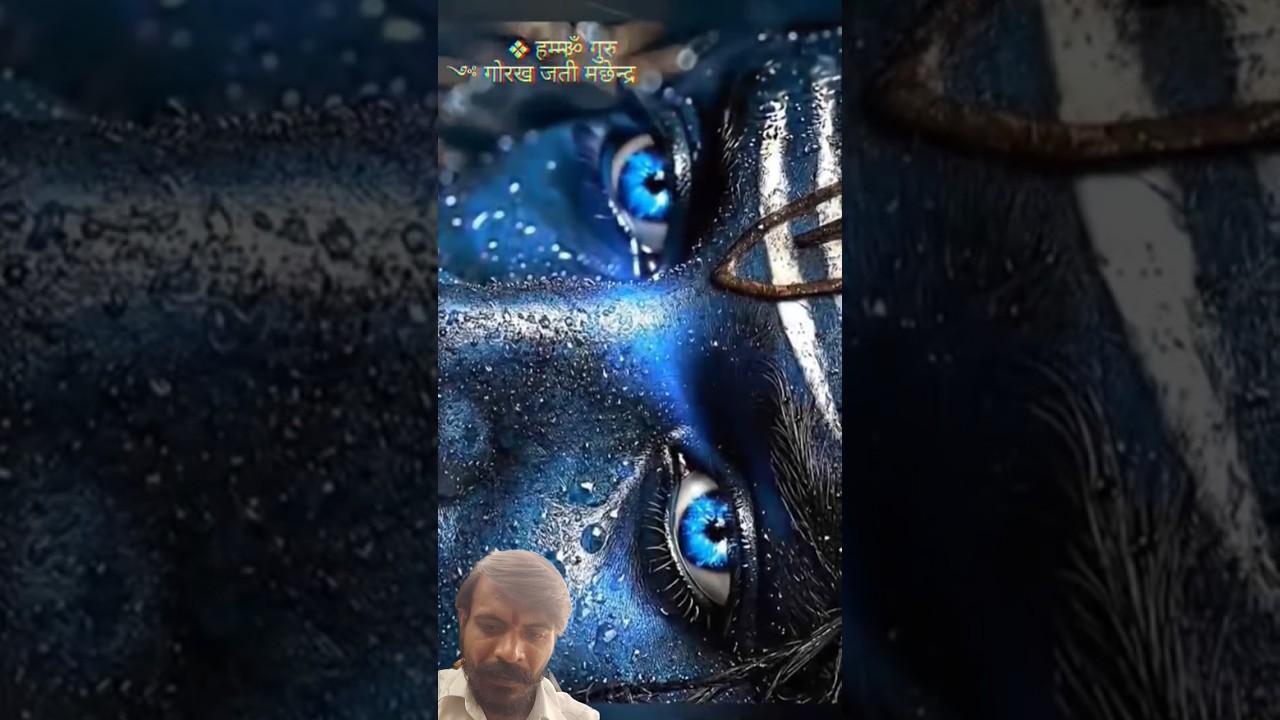 #mahadev #status #edit
