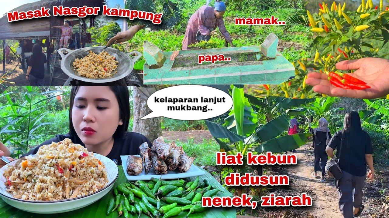 LIHAT KEBUN DIDUSUN NENEK, MASAK NASI GORENG KAMPUNG MAKAN DENGAN LALAPAN CABE RAWIT MENTAH