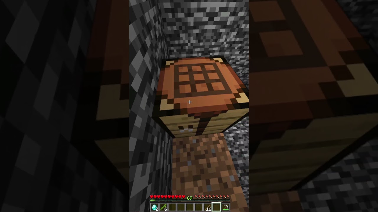Minecraft Noob Vs Pro IQ Level TEST 500IQ #minecraft #shorts
