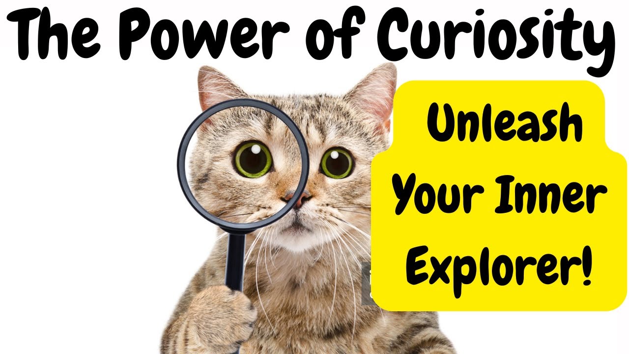 The Power of Curiosity : Unleash Your Inner Explorer