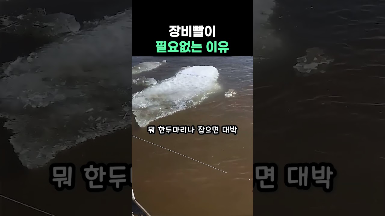 크다고 좋은게 아닌 이유 #낚시 #투망