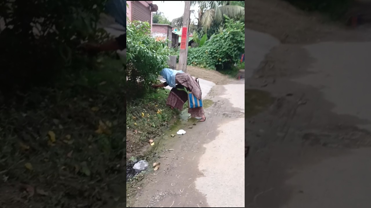 এতদিনে গাছটার দেখা মিলল 🤦#youtubeshorts #shortvideo #gardening #shorts