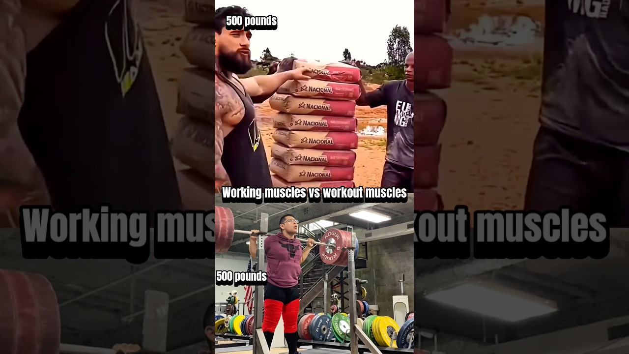WORKING MUSCLES VS WORKOUT MUSCLES!!? 🤯💀 #shorts #shortsfeed #gym #workout #fitness #viral