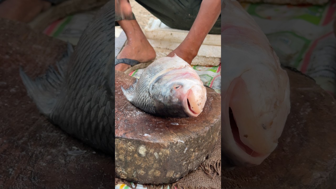 🐟 Big Katla Fish Cutting | Fresh Katla Fish in Ghazipur Market Delhi 🔥