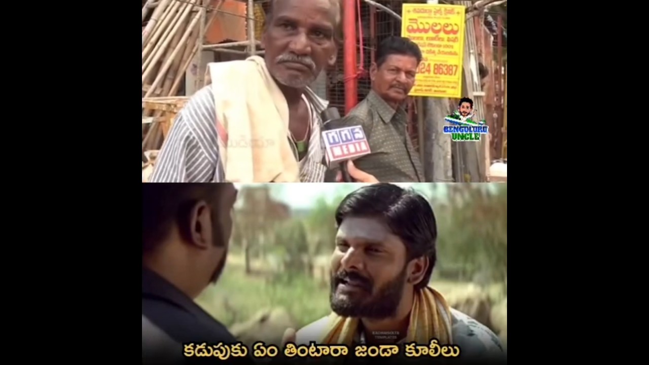 కడుపుకు ఏం తింటారా వైసిపి జండా కూలీలు. .  #Information #Education #PublicTalk #Public #publicsafety