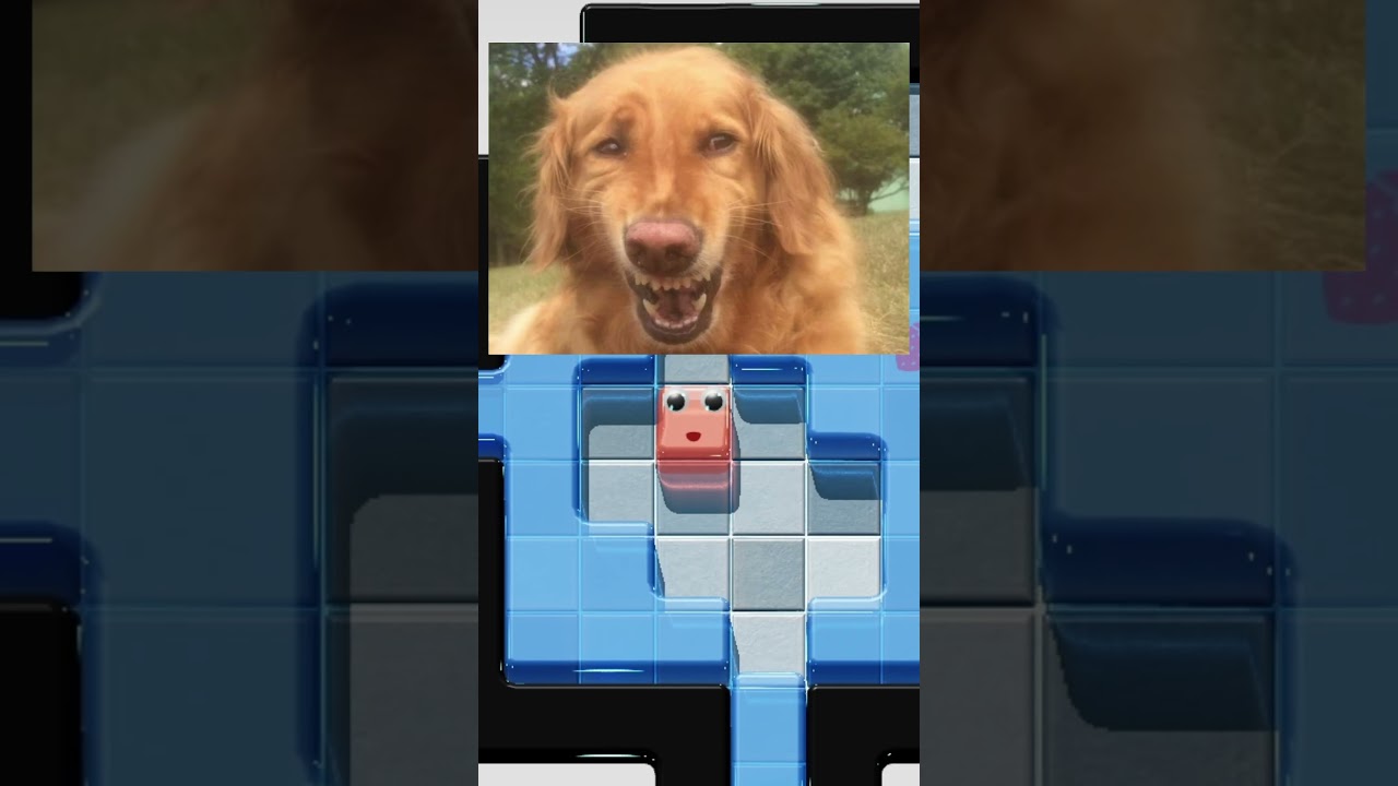 ABRETE espacio entre las GELATINAS XD  #puzzle #humor #games #puzzle #xd #memes #jajaja #gameplay