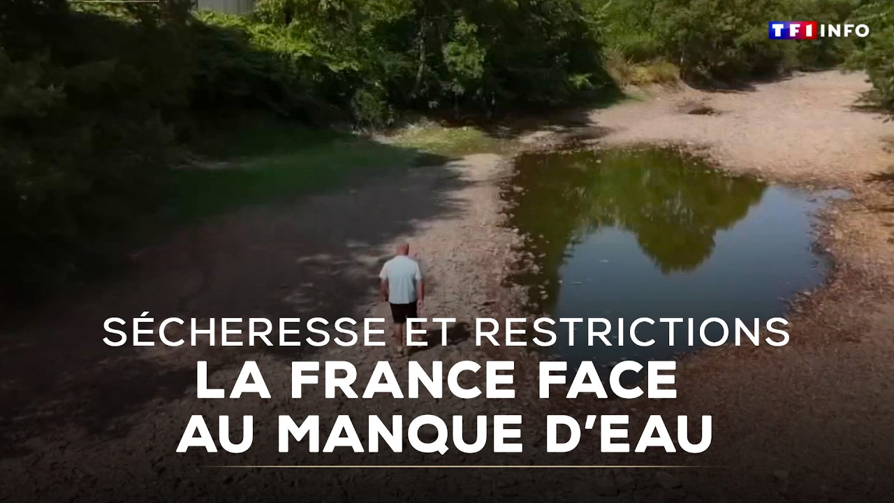 Sécheresse et restrictions : la France face au manque d'eau    ｜TF1 INFO