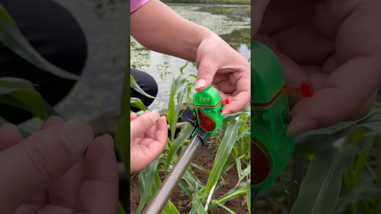 Chuông báo cá điện tử, câu cá săn hàng dễ dàng #fishing #carpfishing