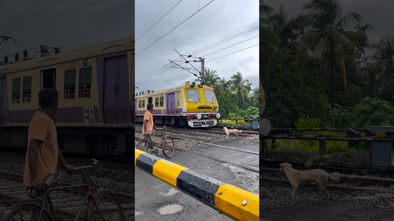 Unique Aerodynamic Emu at Railgate #shorts
