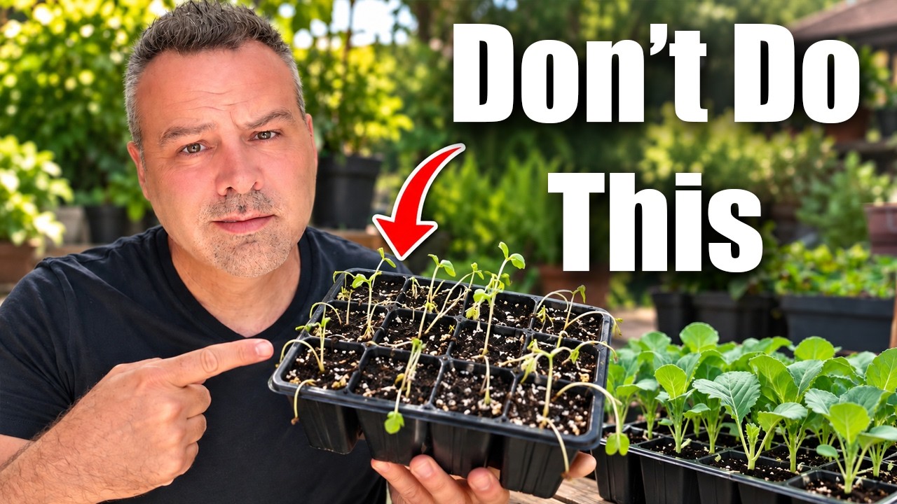 Start Your Fall Seeds NOW — But Don’t Make These Mistakes