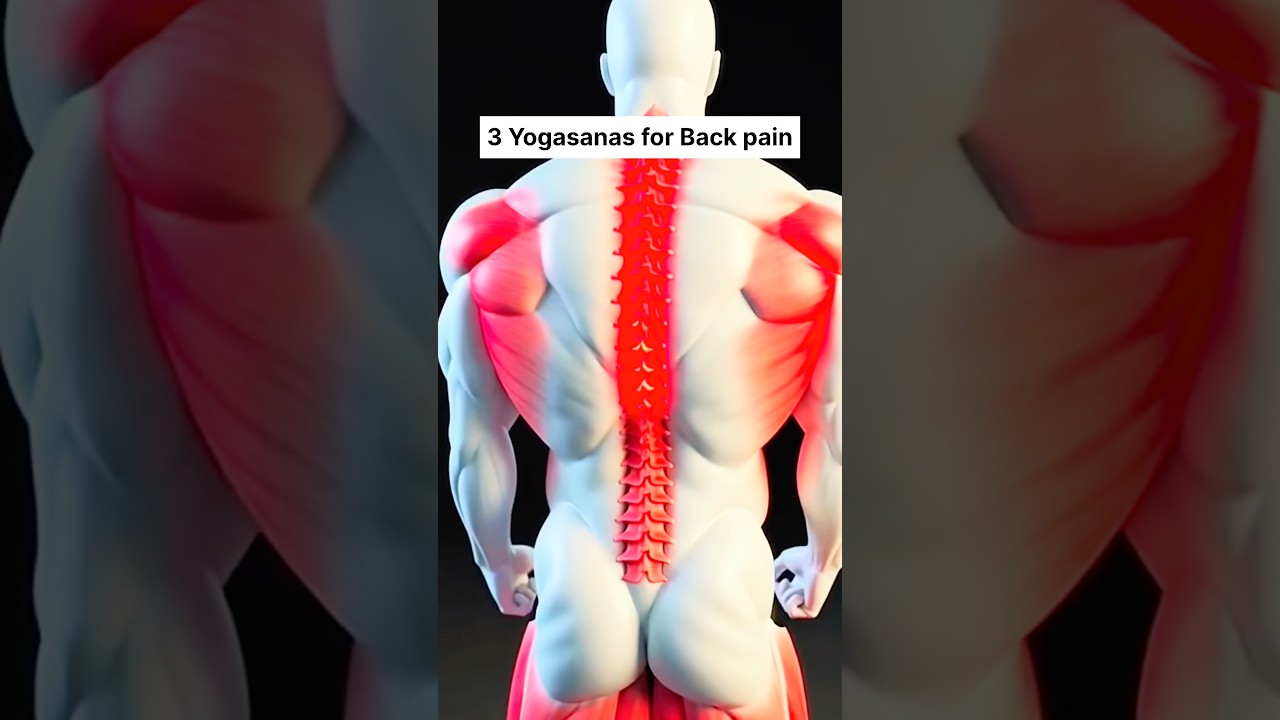3 exercise for back pain |Juhi Kaushik