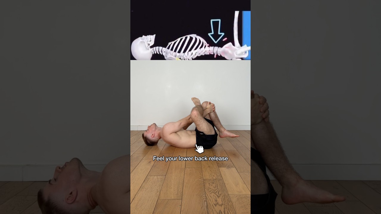 Does your lower back always feel tight? 👀 #backstretch #mobility #flexibility #posture #lowerback