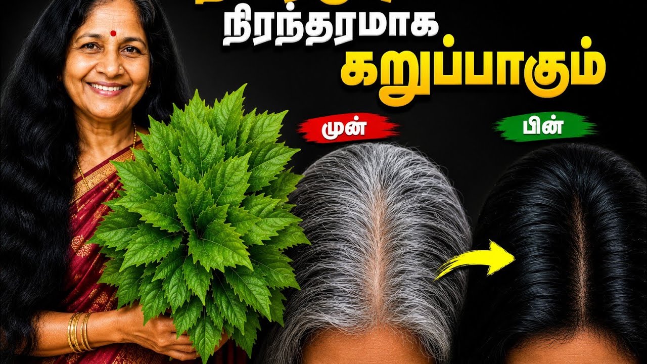 60 வயதில் கூட முடிகள் கறுப்பாகவே இருக்கும்! இனி தலைக்கு டை வேண்டாம் நரைமுடி ஒரே நாளில் கருப்பாகும்