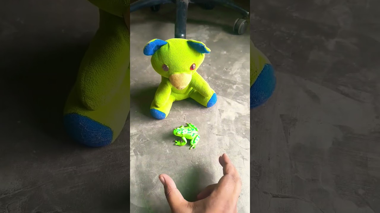 Catch big frogs funny | Try don't laugh | wepwep catching frogs make you laugh 🐸 #shortsviral #frog