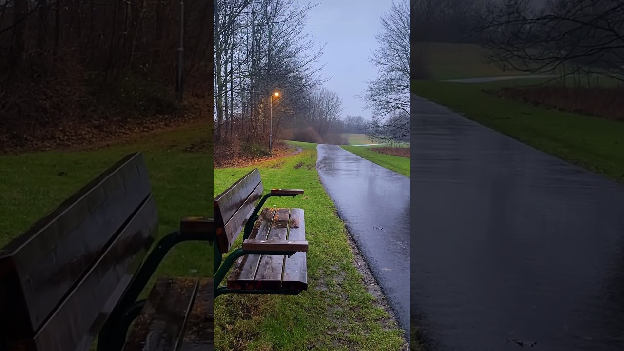 Relaxing Rain Sounds for Sleep and fantastic moment #nature #love #trendingshorts #youtubeshorts