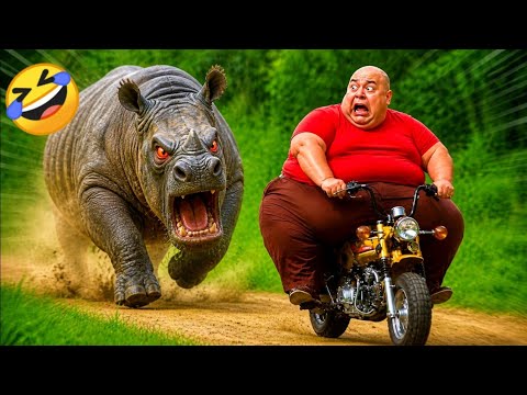 Try Not To Laugh 🤣 Top 100 Funniest Videos Ever 😂 | Funny Videos Compilation 2026 #388​