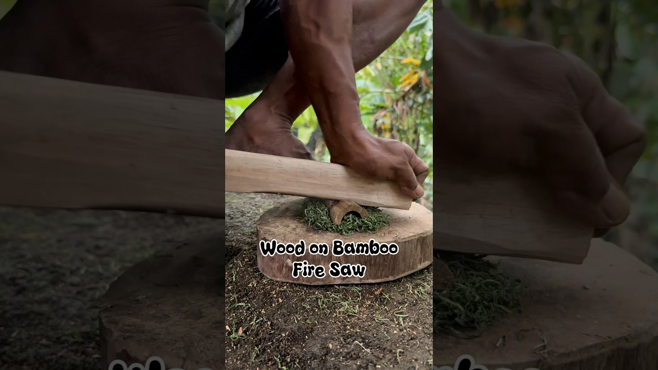 Bamboo and wood fire saw #primitivefirelighting #bushcraft