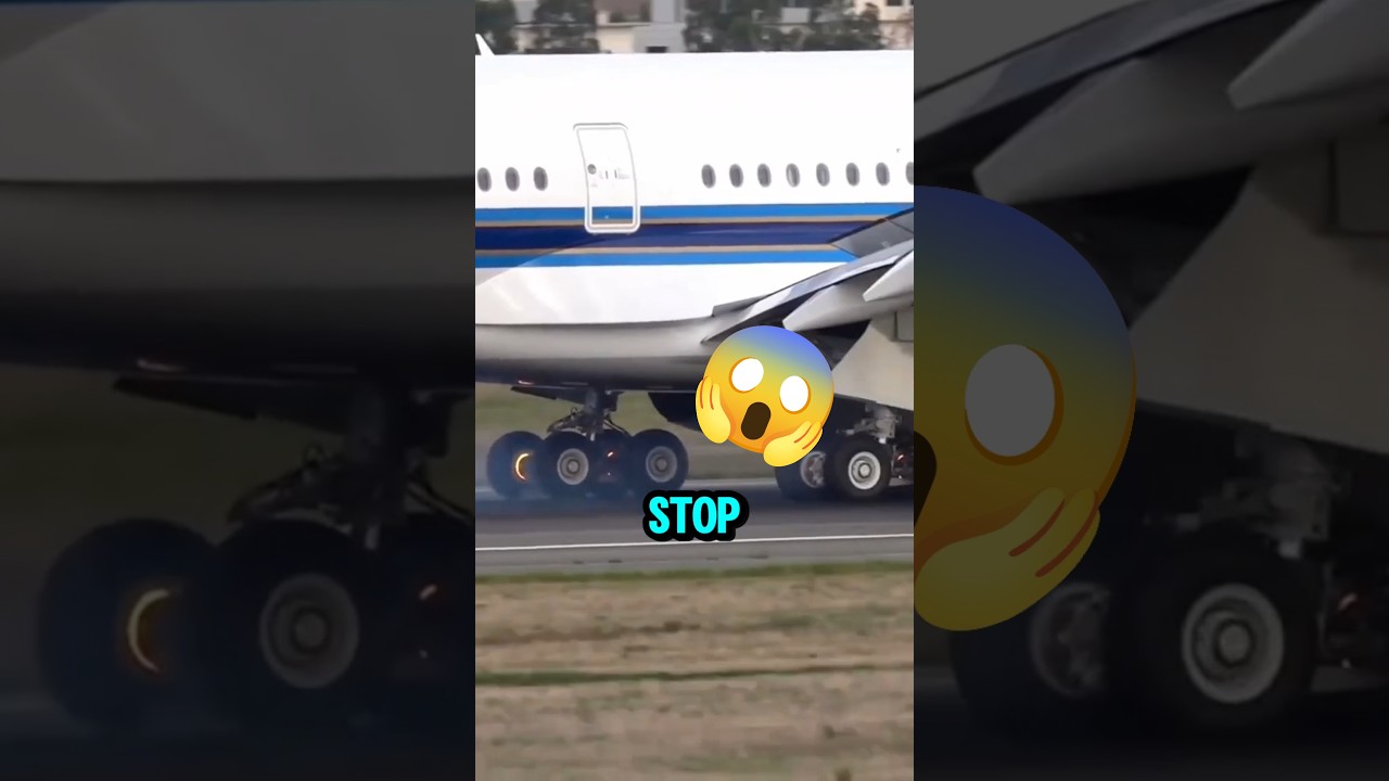 Why Airplanes Do Fake Landing?