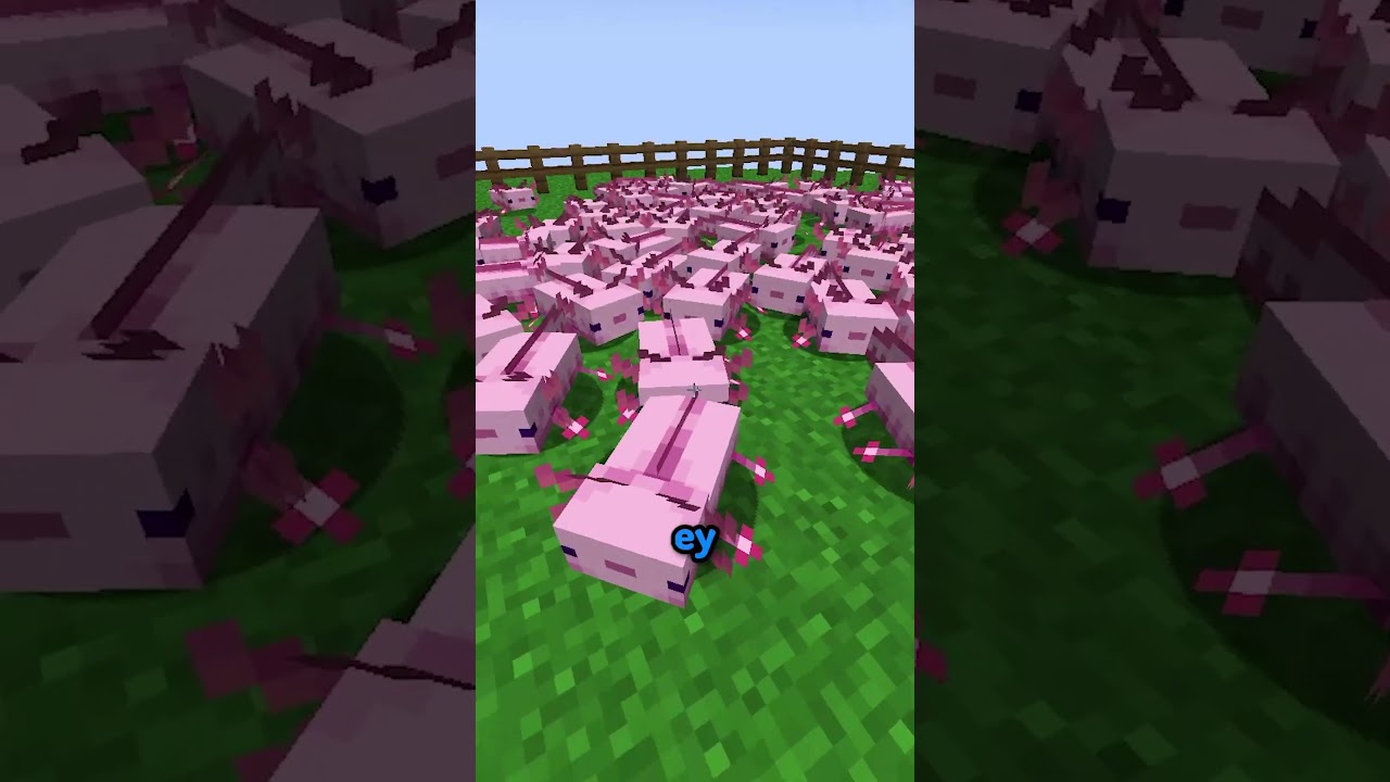 que comen los ajolotes?  #minecraft #shorts