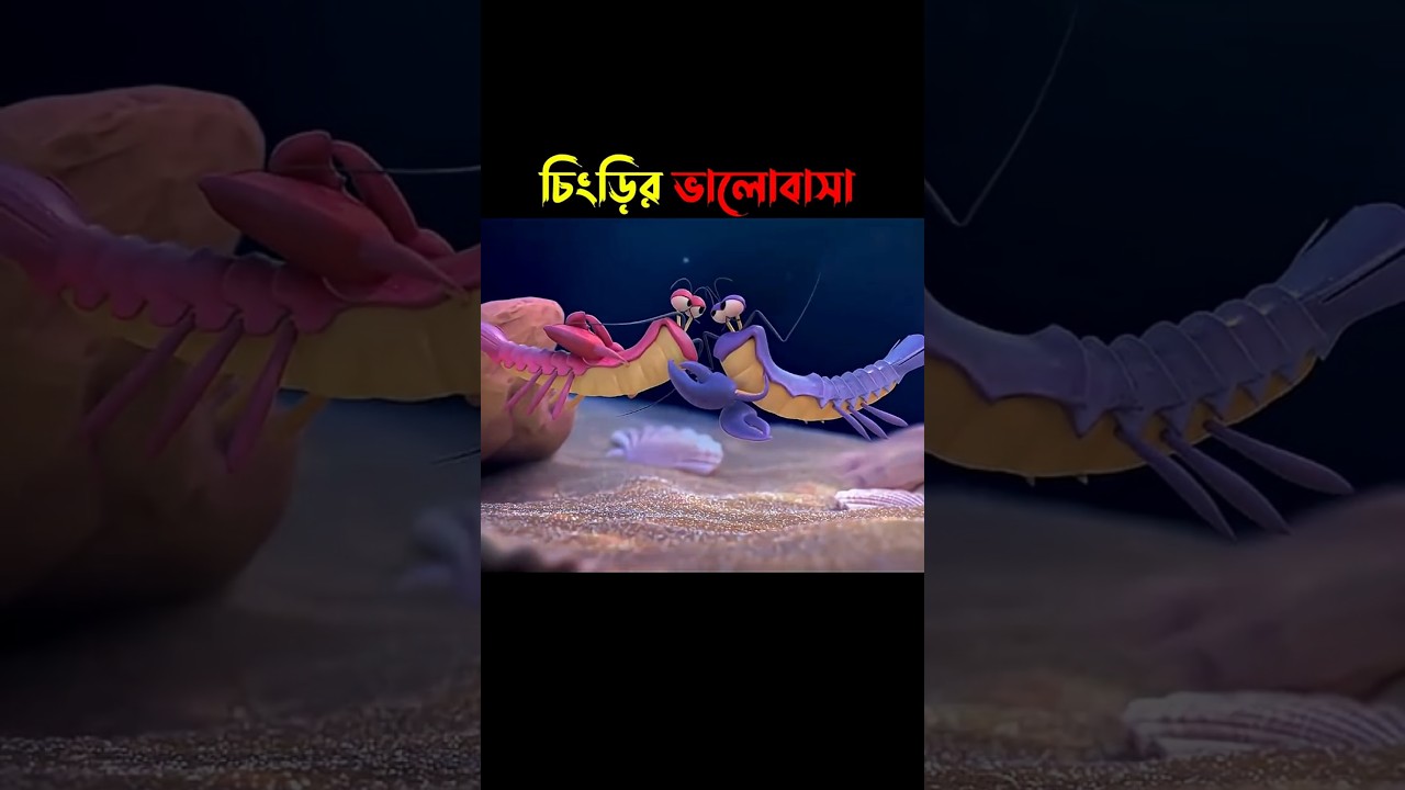 এমন ভালোবাসা আগে দেখিনি 🤣 #cartoon #shorts #animation #viralvideo