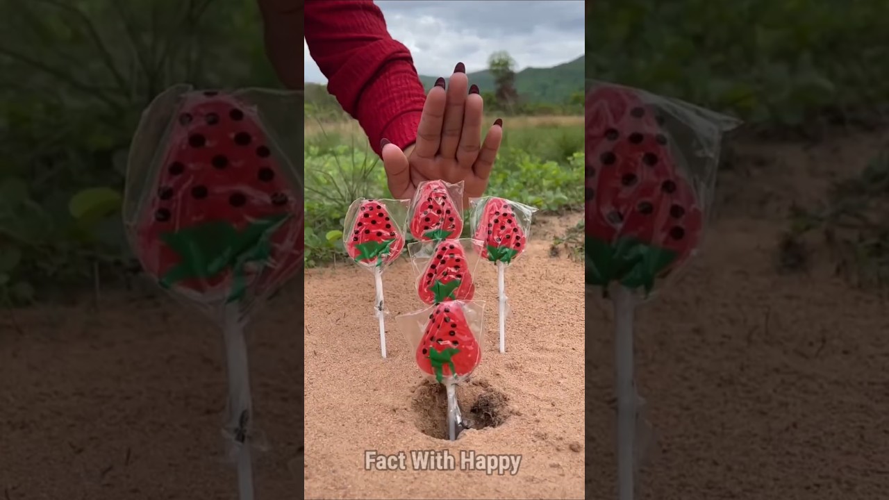 Survival Skills: SMART idea and USEFUL#bushcraft​#camping​#outdoors​#survival​