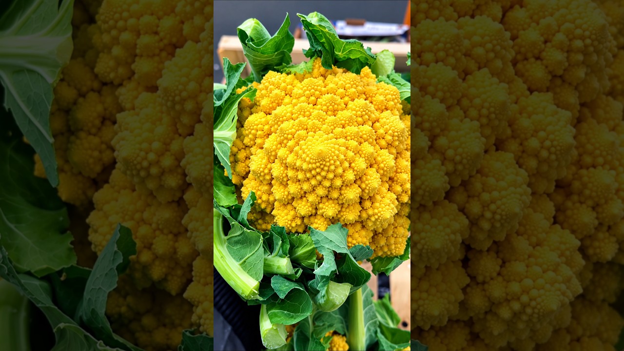 5 Most Bizarre Exotic Fruits on Earth!
