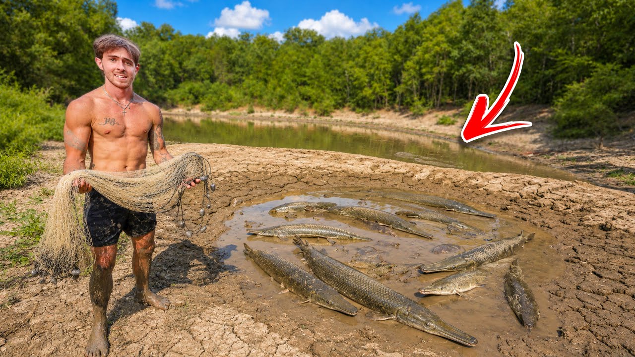All these MONSTER fish were left to die…