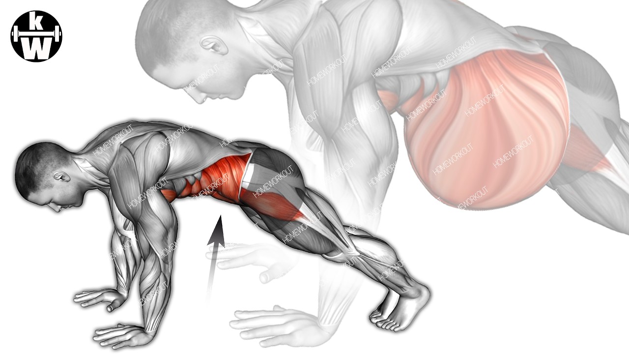 As Fat Melts Away, Six-pack Abs Appear