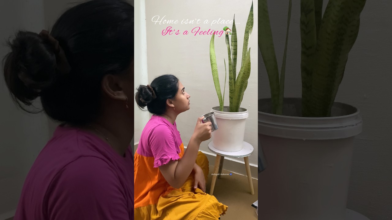 50000.Rs കാര്യം വെറും 500Rs കൊണ്ട് കഴിഞ്ഞു|My Home🏡|minivlog #homedecor #shortvideo #malayalam