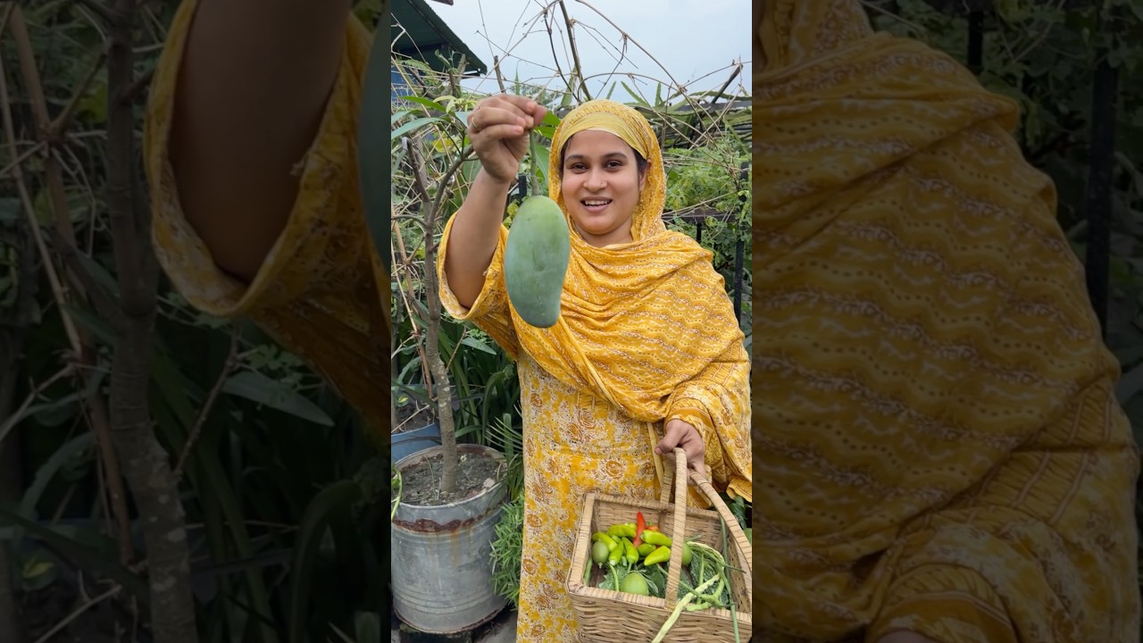 পর্ব-১ মাশাআল্লহ ছাদবাজার🥰😇 #এসোবাগানকরি #আমাদেরছাদবাগান #gardening #roofgarden #shorts