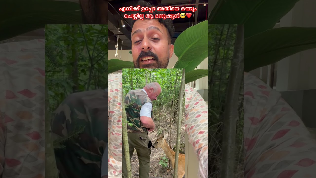 എനിക്ക് ഉറപ്പാണ് അതിനെ ഒന്നും ചെയ്യില്ല ആ മനുഷ്യൻ❤️❤️❤️ #humanity #human #forest #humanrights
