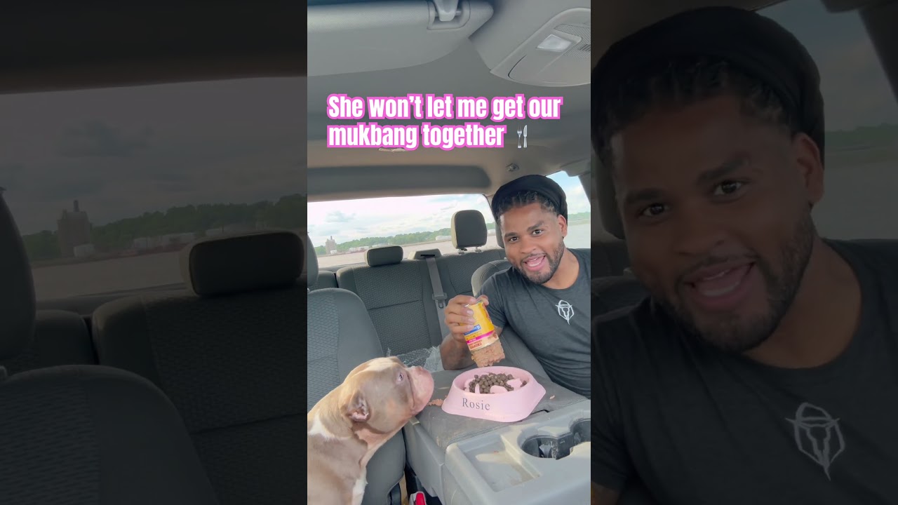 SHE WON’T LET ME GET OUR MUKBANG TOGETHER!! 🤷🏽‍♂️ #funny #americanbully #puppies #dogs #mukbang