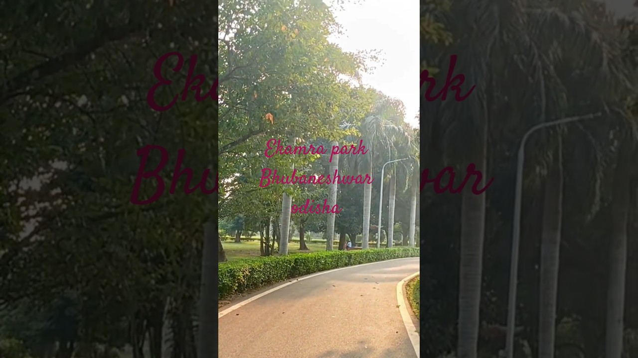 ##short @Ekamra park Bhubaneshwar