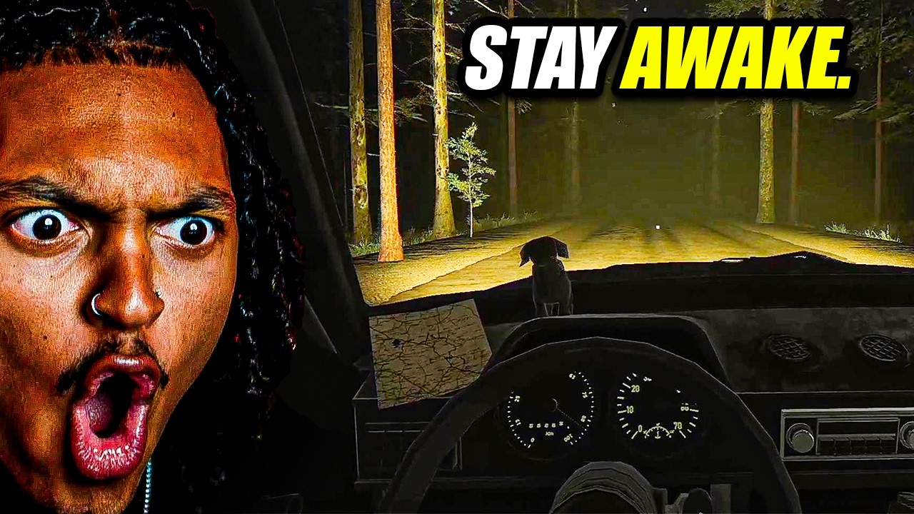 NEVER pull over to sleep alone...