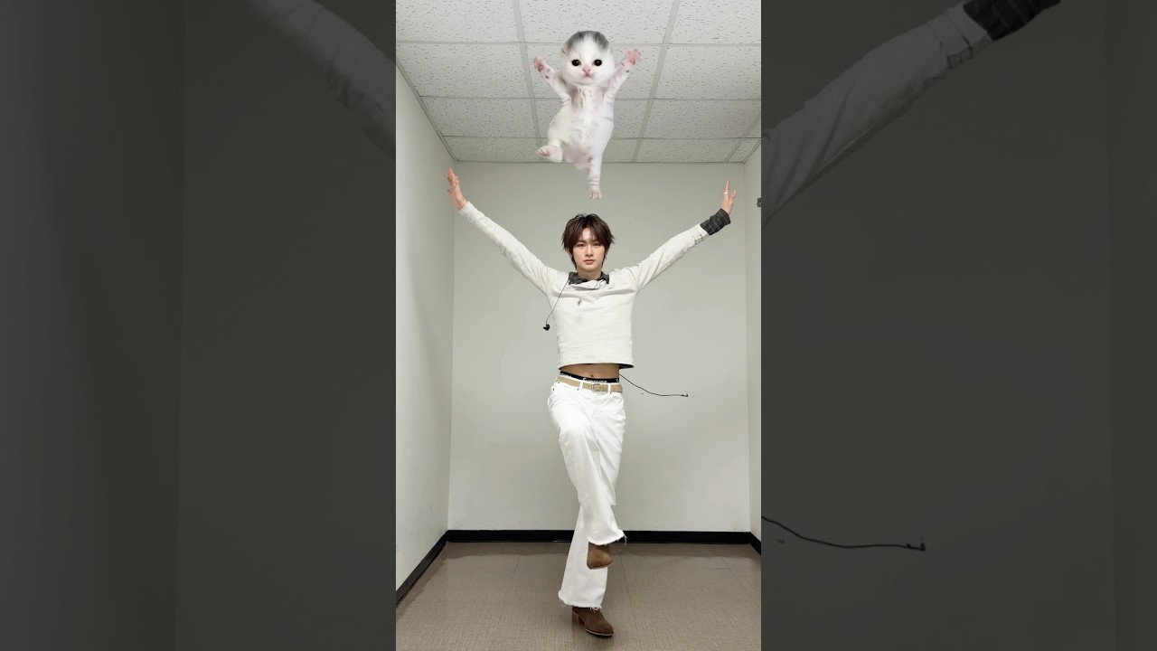 BORN DIRE with 🐈‍⬛🐈 #BORN_DIRE #UNBREAKABLE_少年BEAST #ALPHADRIVEONE #ALD1 #알파드라이브원