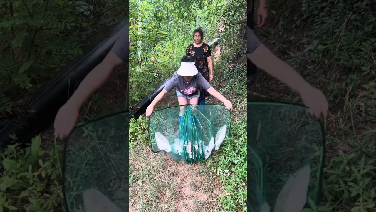 "Relaxing Fishing 🐟Trip - Peace, Patience, and BigRewards!"😯🔥#shorts #trending #fishing #fish #hook