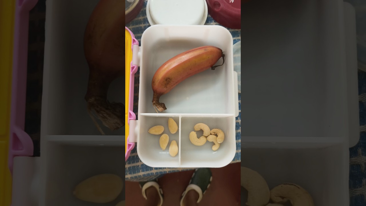 lunch box packing 😋#school #schoollife #lunch #lunchbox #youtubeshorts #viral