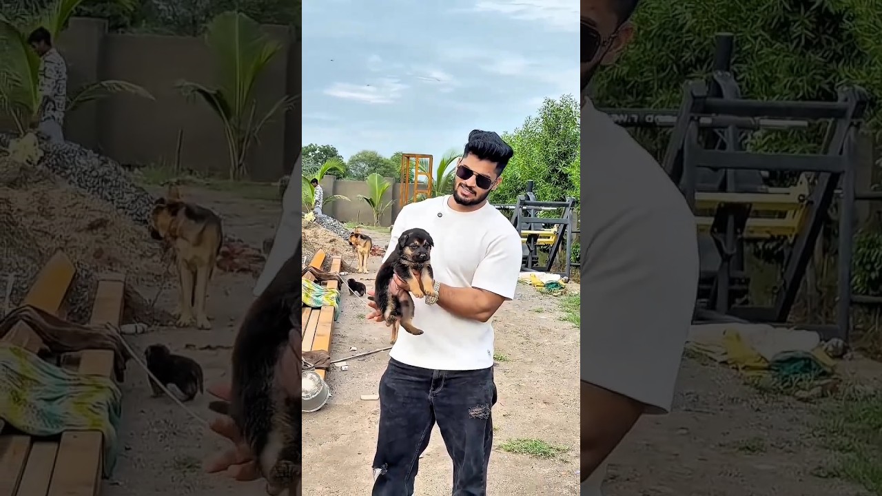 Pawan Sahu Ka New Dog 🤯😳🤯|| #pawansahu #motivation #shorts #dog #love #shortsfeed #trending #viral