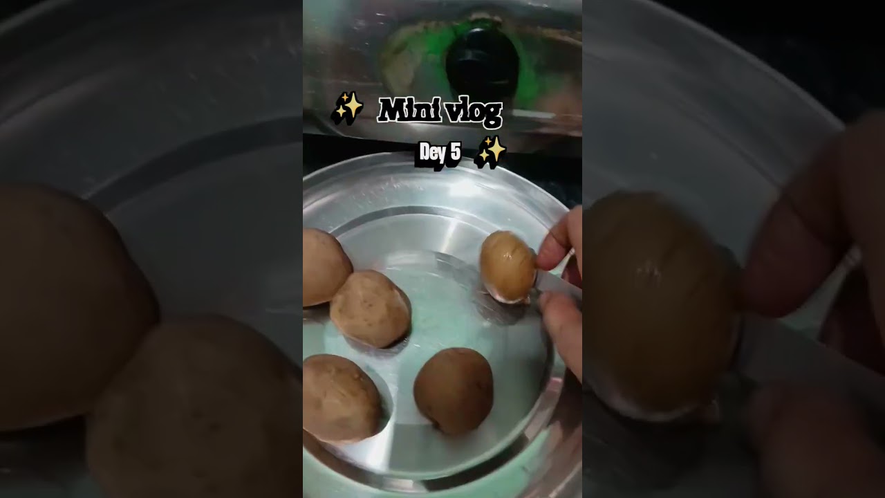 ghar ka kam mini vlogs with family day 5 #bestyoutuber #youtuberlife #youtubevloggers #shortsviral